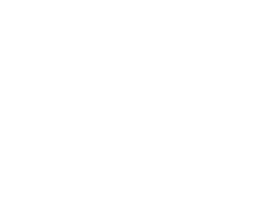 Launch vehicle integration & launch