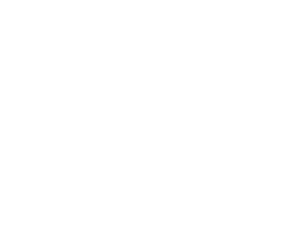 Flight model testing