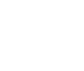 Flight model development